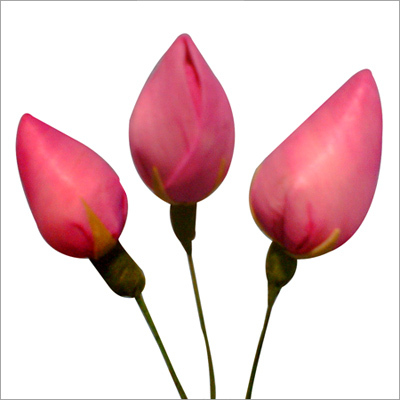 Decorative Sola Handmade Flowers & Sticks