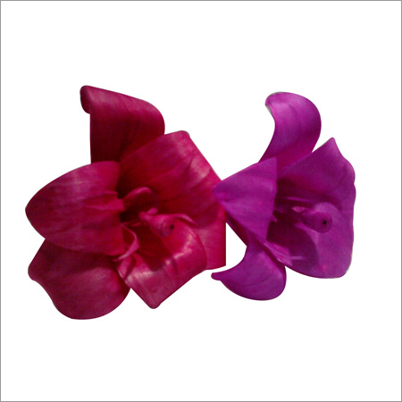 Decorative Sola Handmade Flowers & Sticks