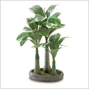 Herbal Plant Products
