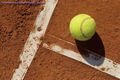 Clay Courts - Premium Grade Waterproof Clay Material, 5-10 Millimeter Thickness, Round Shape, Timely Execution And Reliable Service