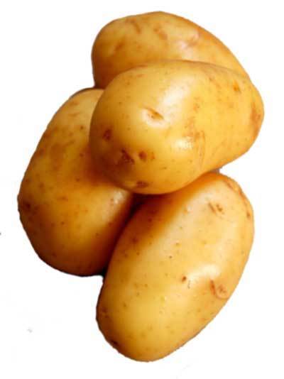 POTATO