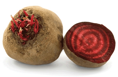 BEETROOT