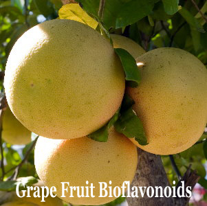 Grapefruit Bioflavonoids