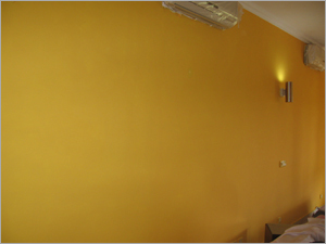 Designer Wall Texture Painting