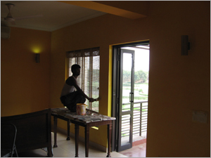 Designer Shades Painting Service