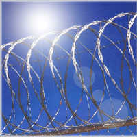 Stainless Steel Fencing Wires