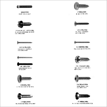 Stainless Steel Screws Fastener