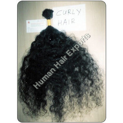 Curly Indian Hair