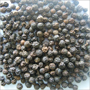 Black Pepper Seeds