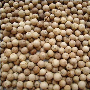 White Pepper