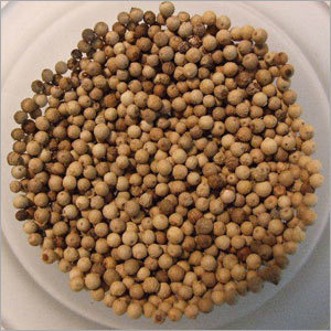 Dried White Pepper