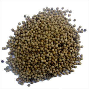 Fresh White Pepper