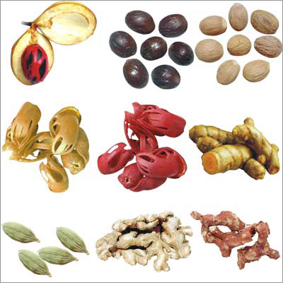 Indian Spices