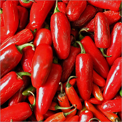 Red Chilli