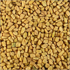 Fenugreek Seeds