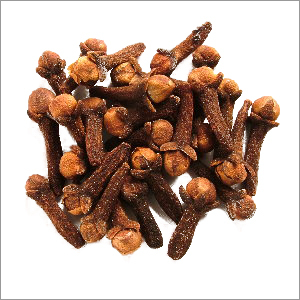 Clove