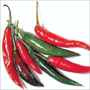 Chilli
