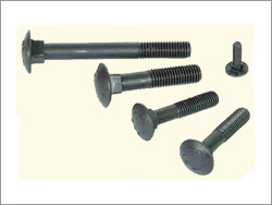 Carriage Bolts