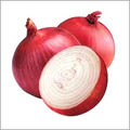  Fresh Red Onions
