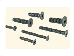 Socket Countersunk Screws