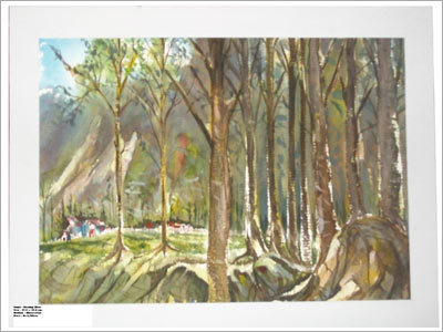 Oil Paintings