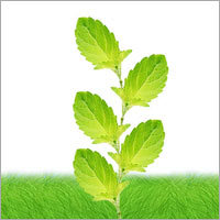 Micro Nutrients Mixtures