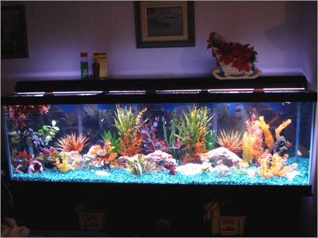 Fresh Water - 25°C, PH 7.0-8.0, 100 µS/cm, 50 ppm TDS | Clear, Pure Aquarium Water, Fish Habitat Life Support