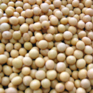 Soya Isoflavones