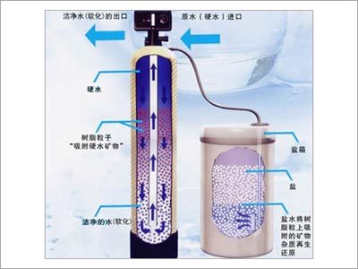 Ion Softening System