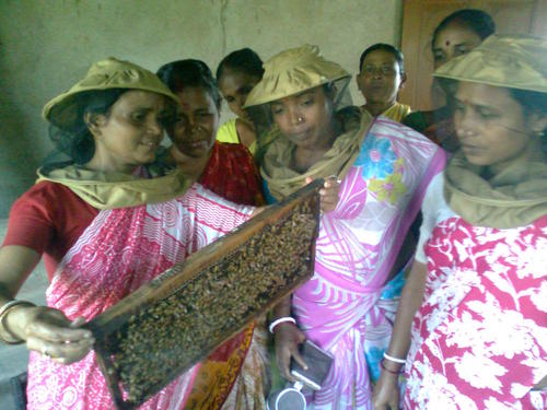 Beekeeping training
