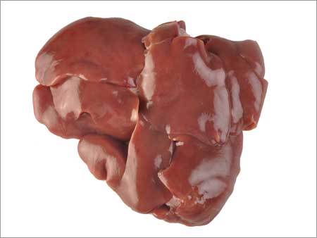 Liver