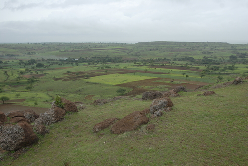 Farms By DEFENCE CITY DEVELOPERS PVT. LTD.