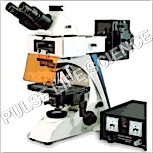 Electric Fluorescence Microscope