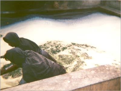 Natural Dyeing