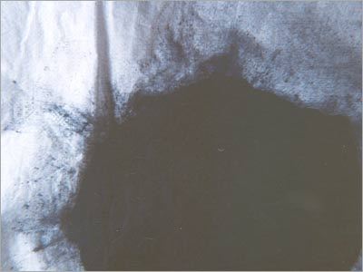 Natural Dyes Indigo