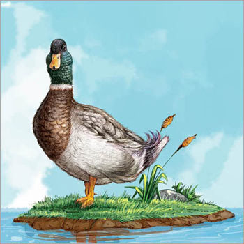 Fairy Tales Designing Services