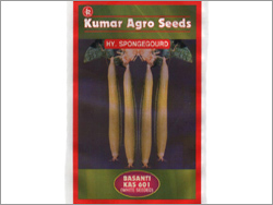 Sponge Gourd