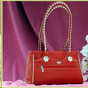 Ladies Leather Bag