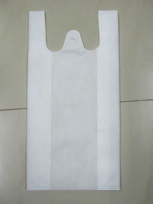 Eco Friendly Bag