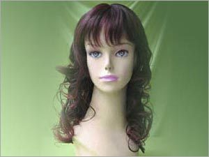 Human Hair Wigs