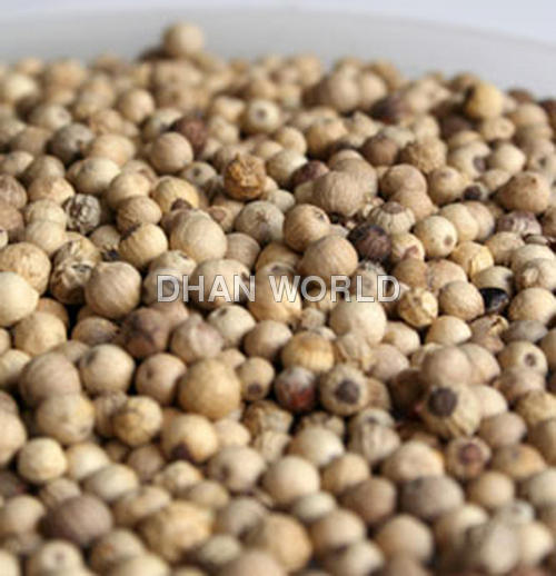 White Pepper