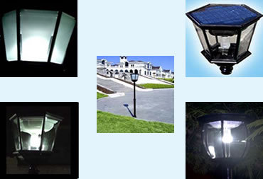 Landscape Light Solar Garden