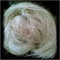 Banana Fibers