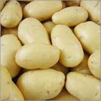 Potato