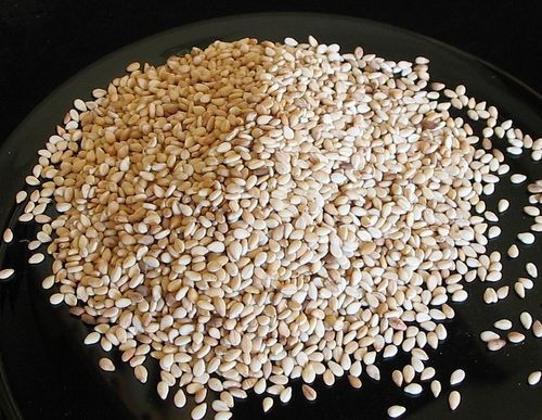 Sesame Seeds Sesame Seeds Distributor And Supplier Ahmedabad India