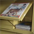 Steel Book Display