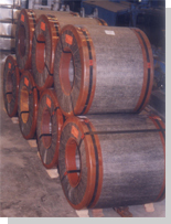CR & GI STEEL COILS