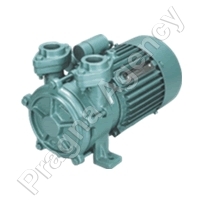 Regenerative Monoset Pumps