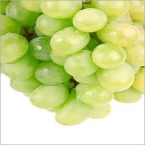Fresh Grapes