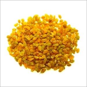 Dry Raisins